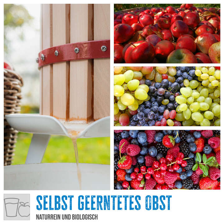 Güde Obstpresse OP 12 12 Liter